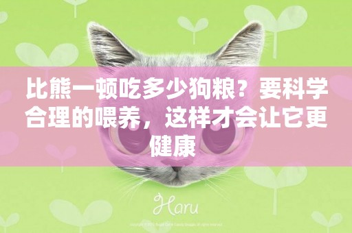 比熊一頓吃多少狗糧？要科學合理的喂養，這樣才會讓它更健康 