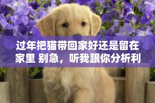 過年把貓帶回家好還是留在家里 別急，聽我跟你分析利弊