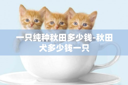 一只純種秋田多少錢-秋田犬多少錢一只