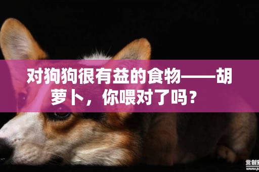 對狗狗很有益的食物——胡蘿卜，你喂對了嗎？ 