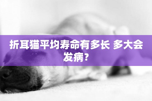 折耳貓平均壽命有多長 多大會發病？