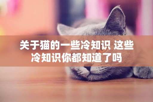 關于貓的一些冷知識 這些冷知識你都知道了嗎 關于貓的一些冷知識 這些冷知識你都知道了嗎