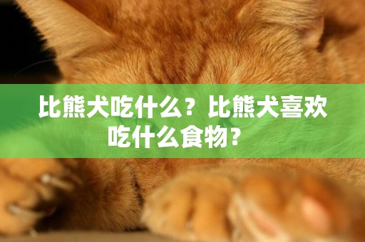 比熊犬吃什么？比熊犬喜歡吃什么食物？ 