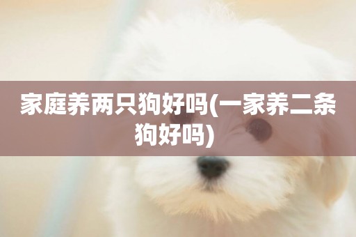 家庭養兩只狗好嗎(一家養二條狗好嗎) 