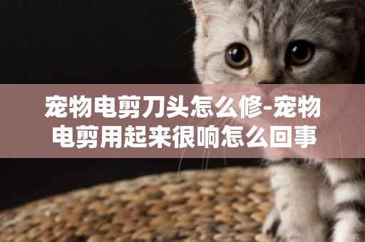 寵物電剪刀頭怎么修-寵物電剪用起來很響怎么回事