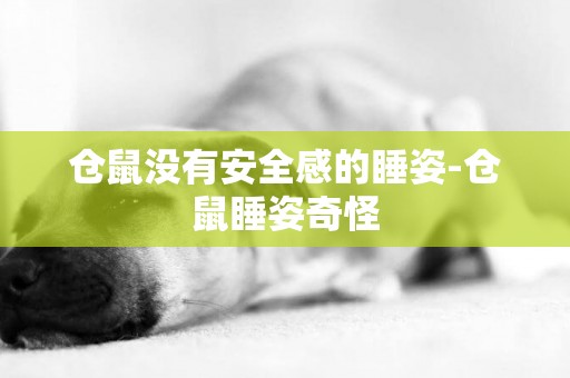 倉鼠沒有安全感的睡姿-倉鼠睡姿奇怪