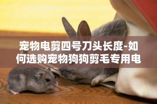 寵物電剪四號刀頭長度-如何選購寵物狗狗剪毛專用電剪？