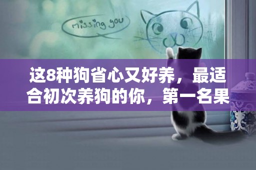 這8種狗省心又好養，最適合初次養狗的你，第一名果然是它 
