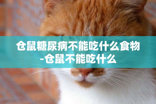 倉鼠糖尿病不能吃什么食物-倉鼠不能吃什么