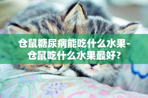倉鼠糖尿病能吃什么水果-倉鼠吃什么水果最好？