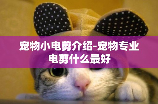 寵物小電剪介紹-寵物專業電剪什么最好