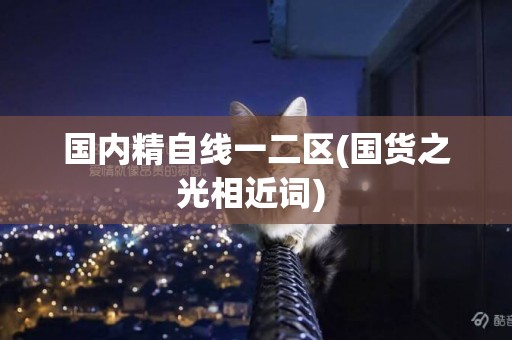 國內精自線一二區(國貨之光相近詞) 