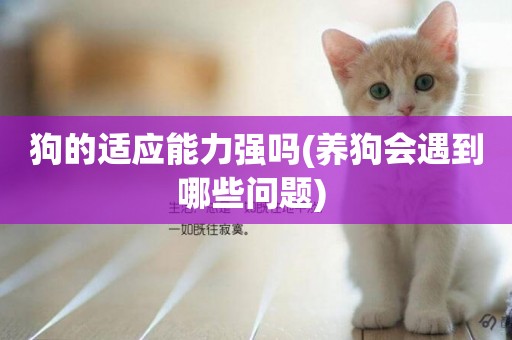 狗的適應能力強嗎(養狗會遇到哪些問題) 