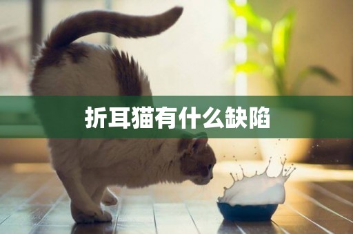 折耳貓有什么缺陷 折耳貓有什么缺陷