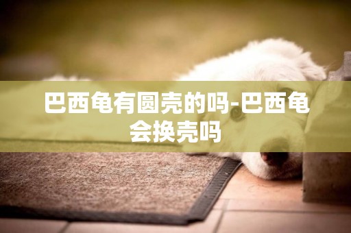 巴西龜有圓殼的嗎-巴西龜會換殼嗎