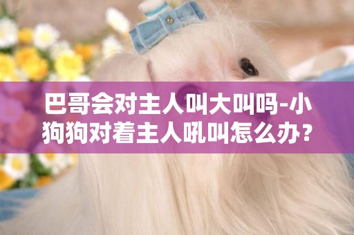 巴哥會對主人叫大叫嗎-小狗狗對著主人吼叫怎么辦？