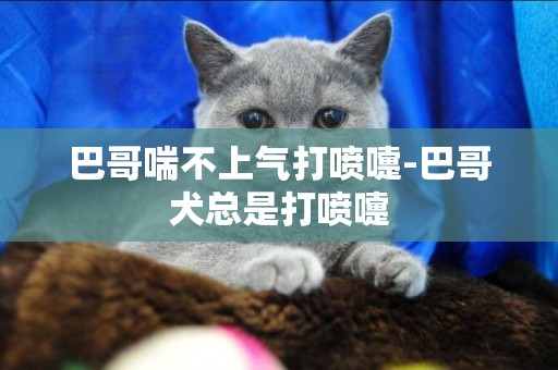 巴哥喘不上氣打噴嚏-巴哥犬總是打噴嚏