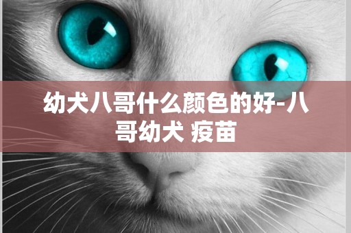 幼犬八哥什么顏色的好-八哥幼犬 疫苗