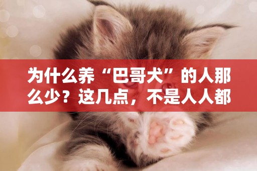為什么養“巴哥犬”的人那么少？這幾點，不是人人都能接受 