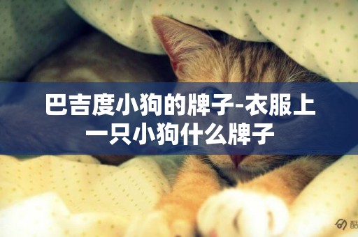 巴吉度小狗的牌子-衣服上一只小狗什么牌子