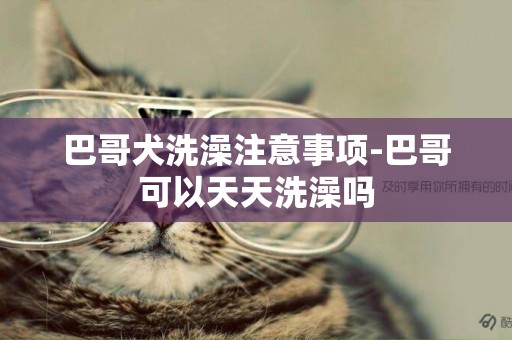 巴哥犬洗澡注意事項-巴哥可以天天洗澡嗎