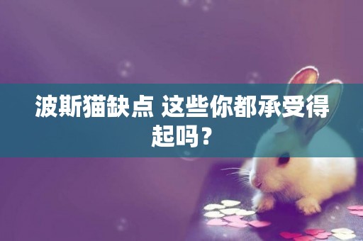 波斯貓缺點 這些你都承受得起嗎？