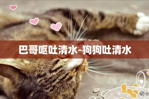 巴哥嘔吐清水-狗狗吐清水