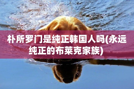 樸所羅門是純正韓國人嗎(永遠純正的布萊克家族) 