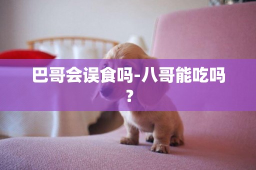 巴哥會誤食嗎-八哥能吃嗎？