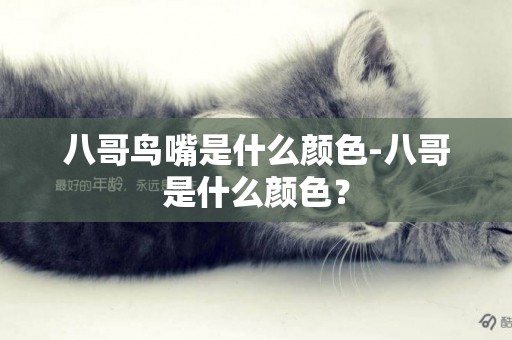 八哥鳥嘴是什么顏色-八哥是什么顏色？