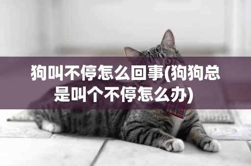 狗叫不停怎么回事(狗狗總是叫個不停怎么辦) 