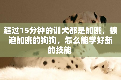 超過15分鐘的訓犬都是加班，被迫加班的狗狗，怎么能學好新的技能 