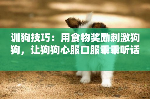 訓狗技巧：用食物獎勵刺激狗狗，讓狗狗心服口服乖乖聽話 