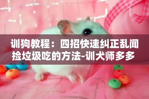 訓狗教程：四招快速糾正亂聞撿垃圾吃的方法-訓犬師多多 