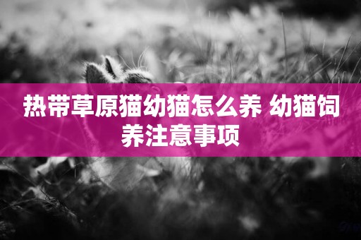 熱帶草原貓幼貓怎么養 幼貓飼養注意事項