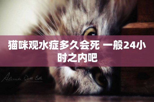 貓咪觀水癥多久會死 一般24小時之內吧