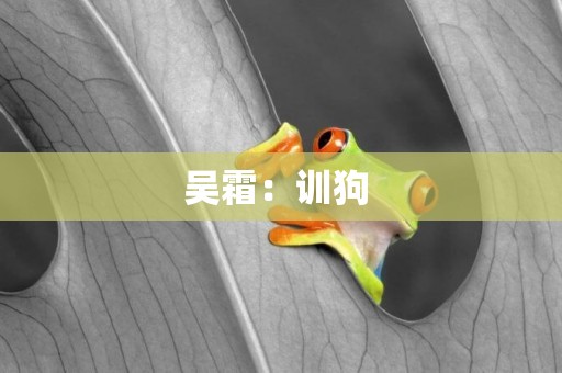 吳霜：訓狗 