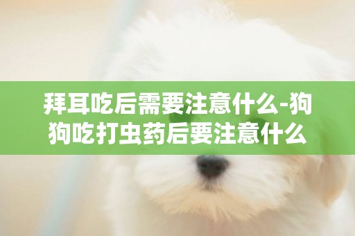 拜耳吃后需要注意什么-狗狗吃打蟲藥后要注意什么