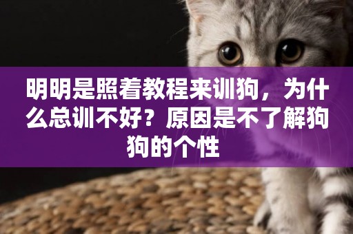 明明是照著教程來訓狗，為什么總訓不好？原因是不了解狗狗的個性 