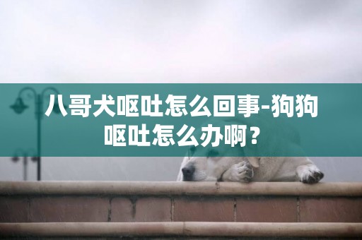八哥犬嘔吐怎么回事-狗狗嘔吐怎么辦啊？