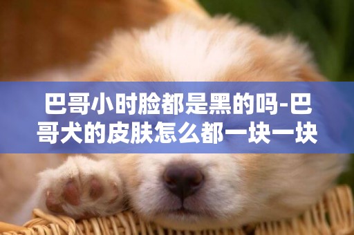 巴哥小時臉都是黑的嗎-巴哥犬的皮膚怎么都一塊一塊的黑了，還特別味