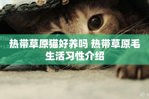 熱帶草原貓好養嗎 熱帶草原毛生活習性介紹