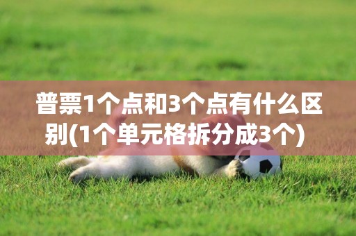 普票1個點和3個點有什么區別(1個單元格拆分成3個) 