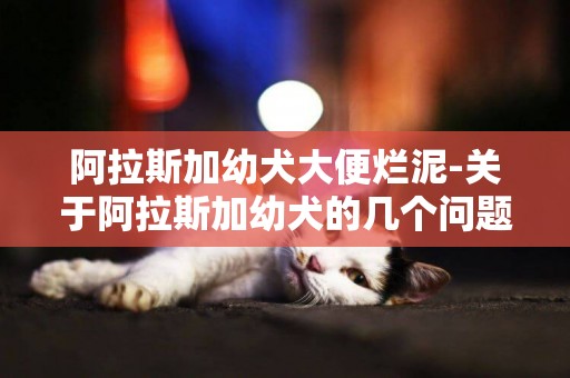 阿拉斯加幼犬大便爛泥-關于阿拉斯加幼犬的幾個問題~