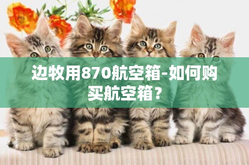 邊牧用870航空箱-如何購買航空箱？