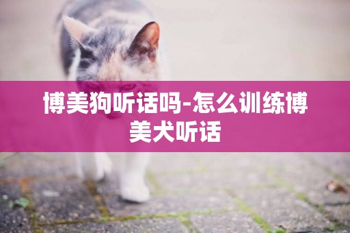 博美狗聽話嗎-怎么訓練博美犬聽話