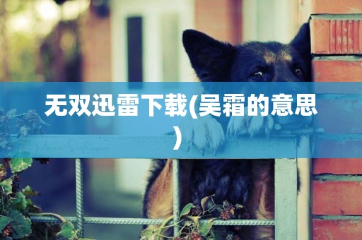 無雙迅雷下載(吳霜的意思) 