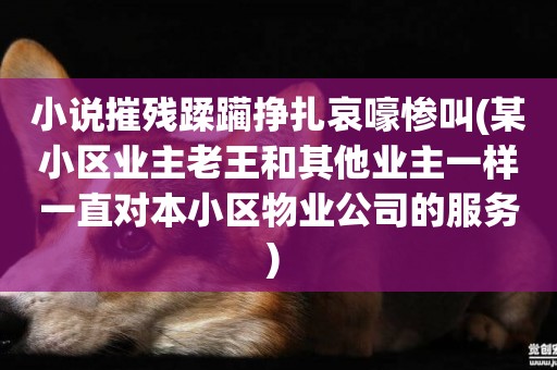 小說摧殘蹂躪掙扎哀嚎慘叫(某小區業主老王和其他業主一樣一直對本小區物業公司的服務) 