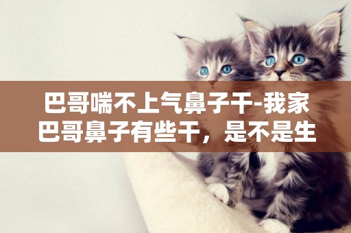 巴哥喘不上氣鼻子干-我家巴哥鼻子有些干，是不是生病了