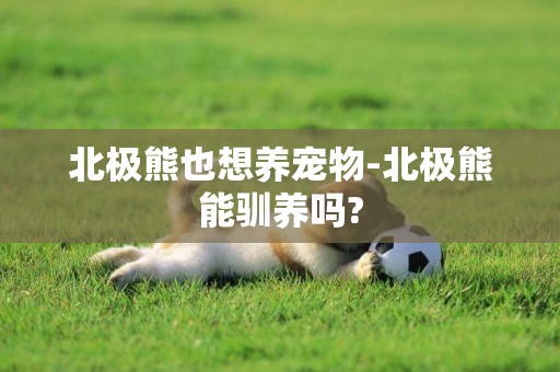 北極熊也想養寵物-北極熊能馴養嗎?